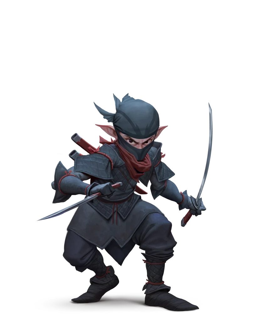 A masked fantasy assassin